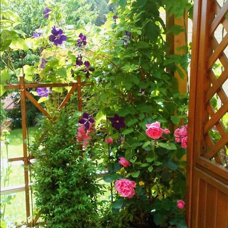 Eckersdorf Apartment Mit Gartenblick מראה חיצוני תמונה