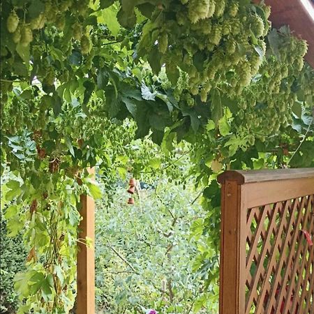 Eckersdorf Apartment Mit Gartenblick מראה חיצוני תמונה