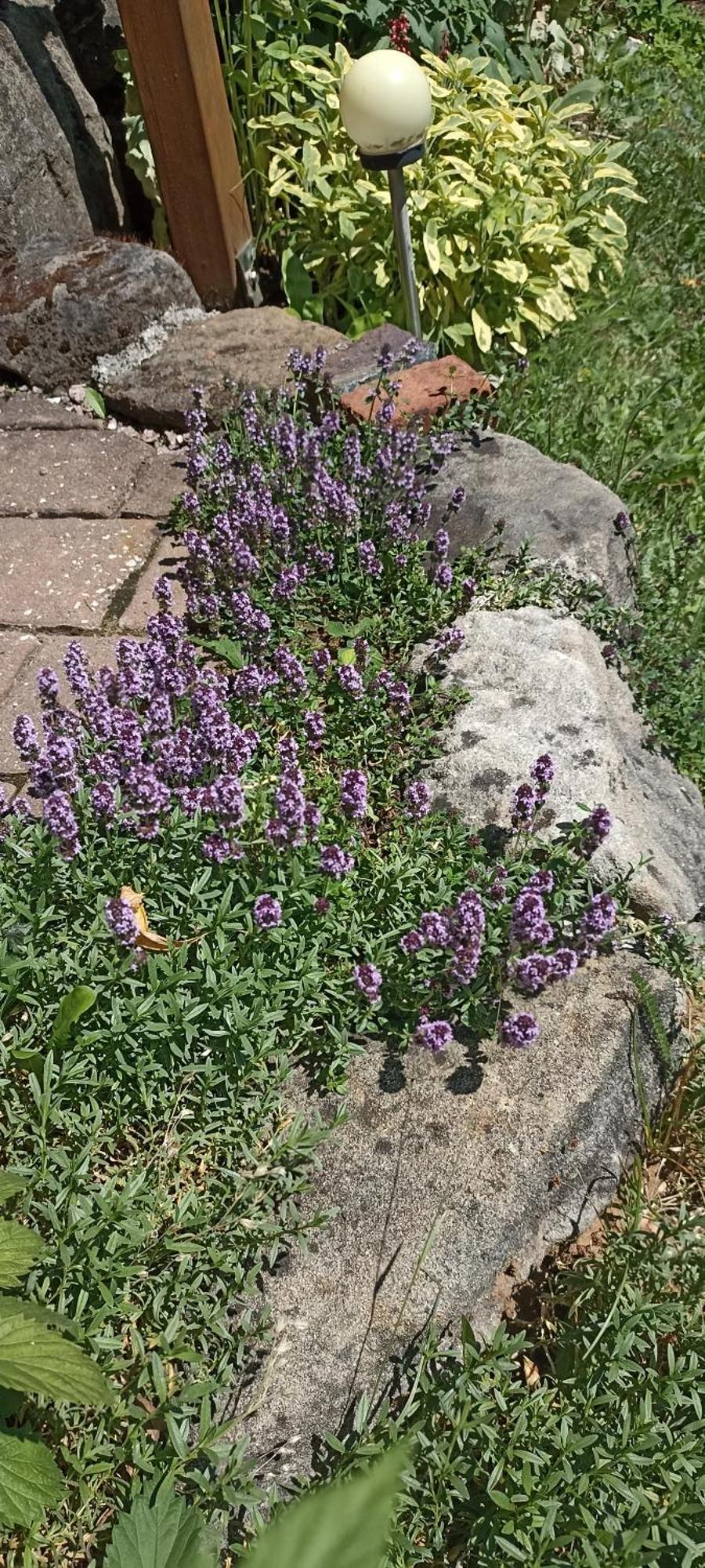 Eckersdorf Apartment Mit Gartenblick מראה חיצוני תמונה