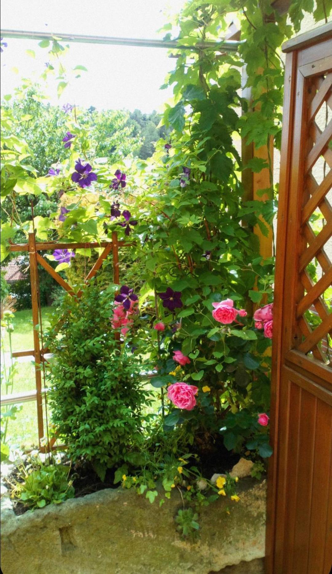 Eckersdorf Apartment Mit Gartenblick מראה חיצוני תמונה